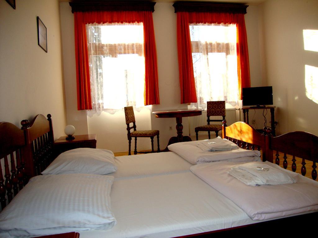 Penzion Aviatik Čáslav 部屋 写真